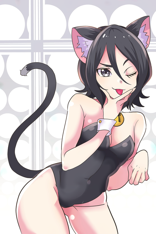 フォトコレクション